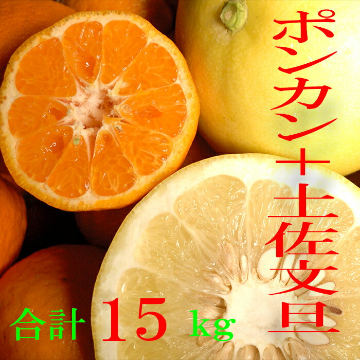 【ふるさと納税】早期予約【贅沢セット】浦ノ内ポンカン5kgと土佐文旦10kgセット