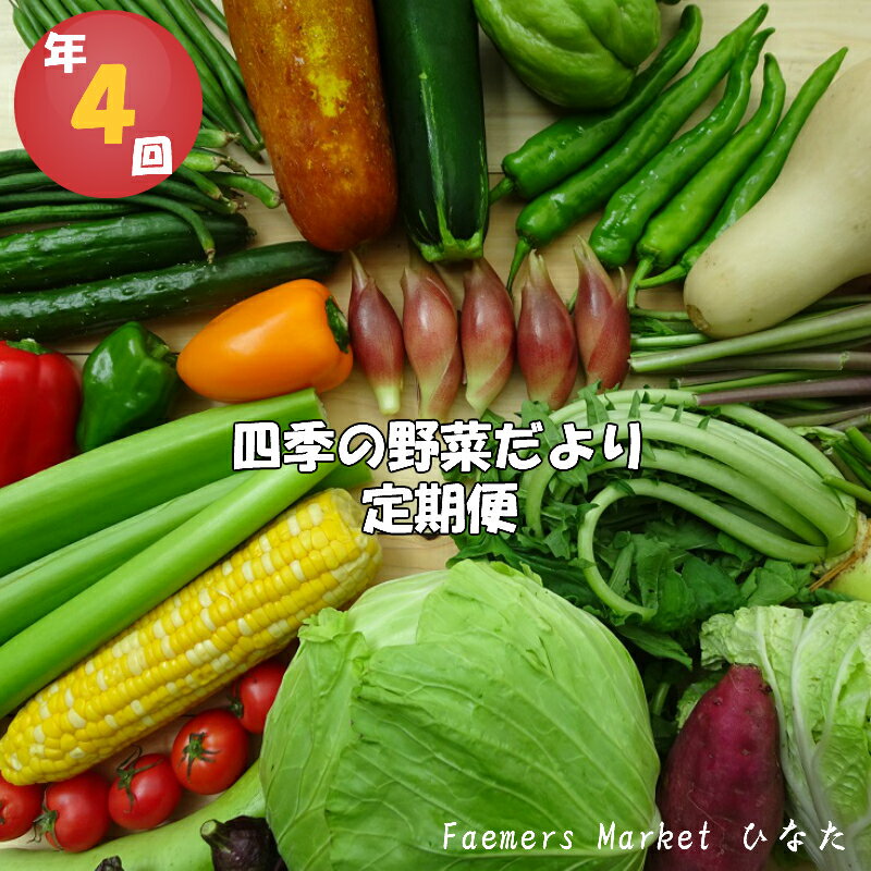 【ふるさと納税】南国高知より 春夏秋冬 四季の野菜便り（年4回コース定期便）お楽しみ　送料無料