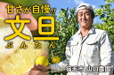 【ふるさと納税】甘さが自慢!山口農園の完熟文旦(家庭用10k...