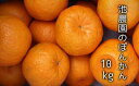 【ふるさと納税】池農園のぽんかん10kg【X-12】