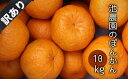 【ふるさと納税】訳あり柑橘「ポンカン」10kg(池農園)【E-17】