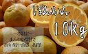 ショッピングデコポン 【ふるさと納税】早川農園のぽんかん10kg（デコポンの親 みかん 柑橘 フルーツ）【H-27】
