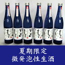 【ふるさと納税】夏夜に爽快!シュワッとはじける 純吟いとをか...