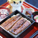 【ふるさと納税】うなぎ蒲焼6尾セット(合計1.2kg以上!)...