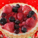 【ふるさと納税】【期間限定】ドルチェかがみの特製クリスマス♪...