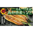 【ふるさと納税】【大人気!】高知県産 うなぎ蒲焼き 100〜...