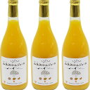 【ふるさと納税】山北みかんジュース720ml3本高知県のブラ...