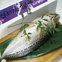 【ふるさと納税】割烹吉野 鯖・カマスの姿寿司【送料無料】