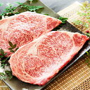 【ふるさと納税】土佐和牛黒毛サーロインステーキ 500g 【牛肉・お肉】
