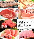 【ふるさと納税】kan038 お得!肉&トロ♪高知県産豚肉ス...
