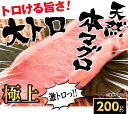 【ふるさと納税】fi044 トロける旨さ!マグロの王様♪天然...