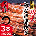 【ふるさと納税】ti811 ふんわり♪やわらか♪うなぎ蒲焼き...
