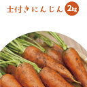 【ふるさと納税】M1...