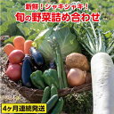 【ふるさと納税】31ve002 旬の野菜詰め合わせコース(4...