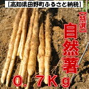 【ふるさと納税】田野産特選「自然薯（じねんじょ）」0．7Kg　全然粘りが違います汁物にしても溶けない粘りの強さを是非ご賞味ください。