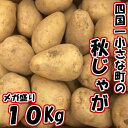 【ふるさと納税】四国一小さな町のじゃがいも。高知県田野町の大...