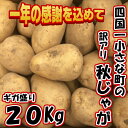 【ふるさと納税】年末大感謝品 数量限定 ギガ盛り20Kg 四...