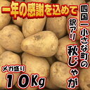 【ふるさと納税】年末大感謝品 数量限定 ギガ盛り10Kg 四...
