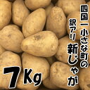 【ふるさと納税】〜四国一小さなまちのじゃがいも〜 高知県田野...