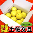 【ふるさと納税】【予約受付】高知産【贈答用】土佐文旦10kg...