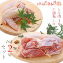 【ふるさと納税】臭みも少なくやわらかな土佐はちきん地鶏モモ肉...
