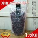 【ふるさと納税】<冷凍ブラックベリー1.5kg> 高知県 佐...