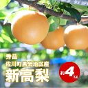 【ふるさと納税】新高梨(約4kg)【期間限定】高知県 佐川町...
