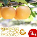 【ふるさと納税】豊水梨(約5kg)【期間限定】高知県 佐川町...