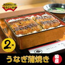 【ふるさと納税】<うなぎ専門店「大正軒」の蒲焼き2尾 約40...