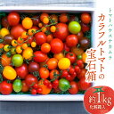 【ふるさと納税】<カラフルトマトの宝石箱 約1.0kg×1箱>ミニトマト フルーツトマト トマトの品種説明書付 高知県 佐川町 トマトハウスナカムラ【常温】12月からの発送分先行受付中