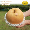 【ふるさと納税】<新高梨 3玉【期間・数量限定】>高知県 佐...