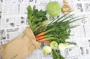 【ふるさと納税】越知町産季節の野菜セット(年4回発送)