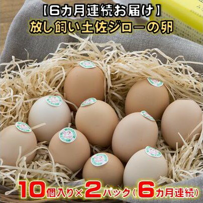 【ふるさと納税】 【6カ月連続お届け】 放し飼い 土佐ジロー 卵　20個 入り 6ヶ月 定期便 6回 土佐 地鶏 地鶏卵 天然卵 特産品 濃厚 卵かけご飯 TKG だし巻き卵 人気 高知 黒潮町 ふるさと納税卵 ［1239］