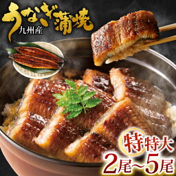 【ふるさと納税】九州産 うなぎ蒲焼 特特大 ＜選べる＞2尾/3尾/4尾/5尾 (1尾あたり250～266g) たれ・山椒付き 鰻 ウナギ 蒲焼き 特大 土用の丑の日 冷凍 国産 送料無料 鹿児島、宮崎、熊本等産うなぎ原料使用