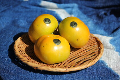 太秋柿4キロ（12個〜13個） （季節限定）