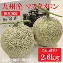 【ふるさと納税】【A184】九州産マスクメロン(温室・2玉)...