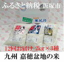 【ふるさと納税】【H016】【毎月お届け(12回)】嘉穂盆地...