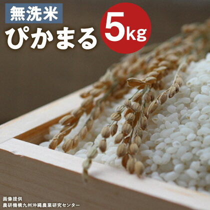 低アミロース米 ぴかまる 5kg 無洗米 保存袋付き お米 精米 栽培期間中無農薬 九州産 福岡県産 送料無料