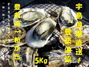 【ふるさと納税】宇島漁港直送!豊築漁協 「豊前海一粒かき」(5kg)※1月~2月に順次発送予定