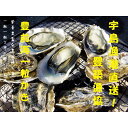 【ふるさと納税】宇島漁港直送!豊築漁協 「豊前海一粒かき」(3kg)※2020年1月~2月に順次発送予定