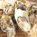 【ふるさと納税】宮城県東松島市鳴瀬の一年牡蠣「殻付き牡蠣20...