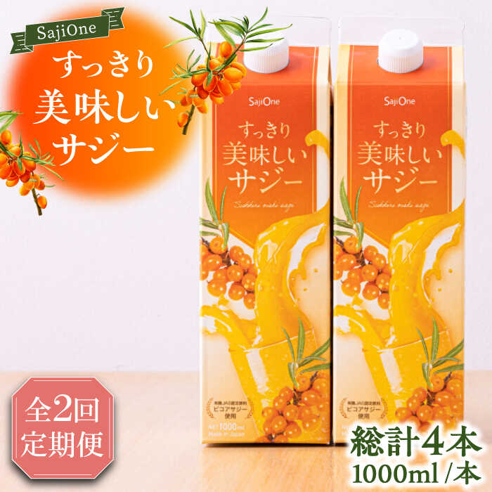【ふるさと納税】【全2回定期便】美味しいサジーが毎月届く！すっきり美味しいサジー（2本）定期便2回《豊前市》【ハウスボトラーズ】 [VAX035][VAX035]