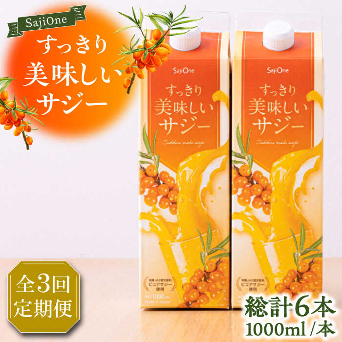 【ふるさと納税】【全3回定期便】美味しいサジーが毎月届く！すっきり美味しいサジー（2本）《豊前市》【ハウスボトラーズ】 [VAX036][VAX036]