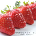 【ふるさと納税】内山...