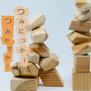 【ふるさと納税】知育教育おもちゃ「つみにっかー&つみやすかー...