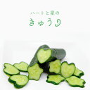 【ふるさと納税】農業のどんでん返し オドロキの「ハートと星のきゅうり」