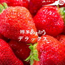 【ふるさと納税】<貴重なDX級>いちごの王様「博多あまおうデ...