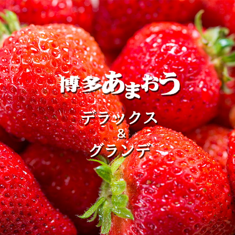 【ふるさと納税】いちごの王様「博多あまおうデラックス＆グランデ」2パック【2月下旬〜3月上旬配送】