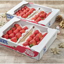 【ふるさと納税】冬待ち苺(福岡限定生産品種あまおう苺)4パック【1083236】