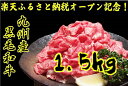 【ふるさと納税】A637【在庫限り】厳選!九州産黒毛和牛切り...